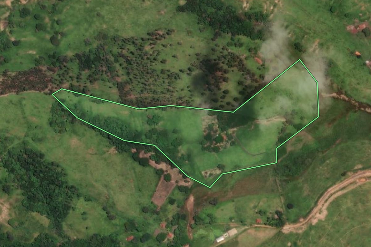 Imagem de satélite do imóvel rural em Duartina (SP), com o contorno declarado no CAR desenhado por cima.