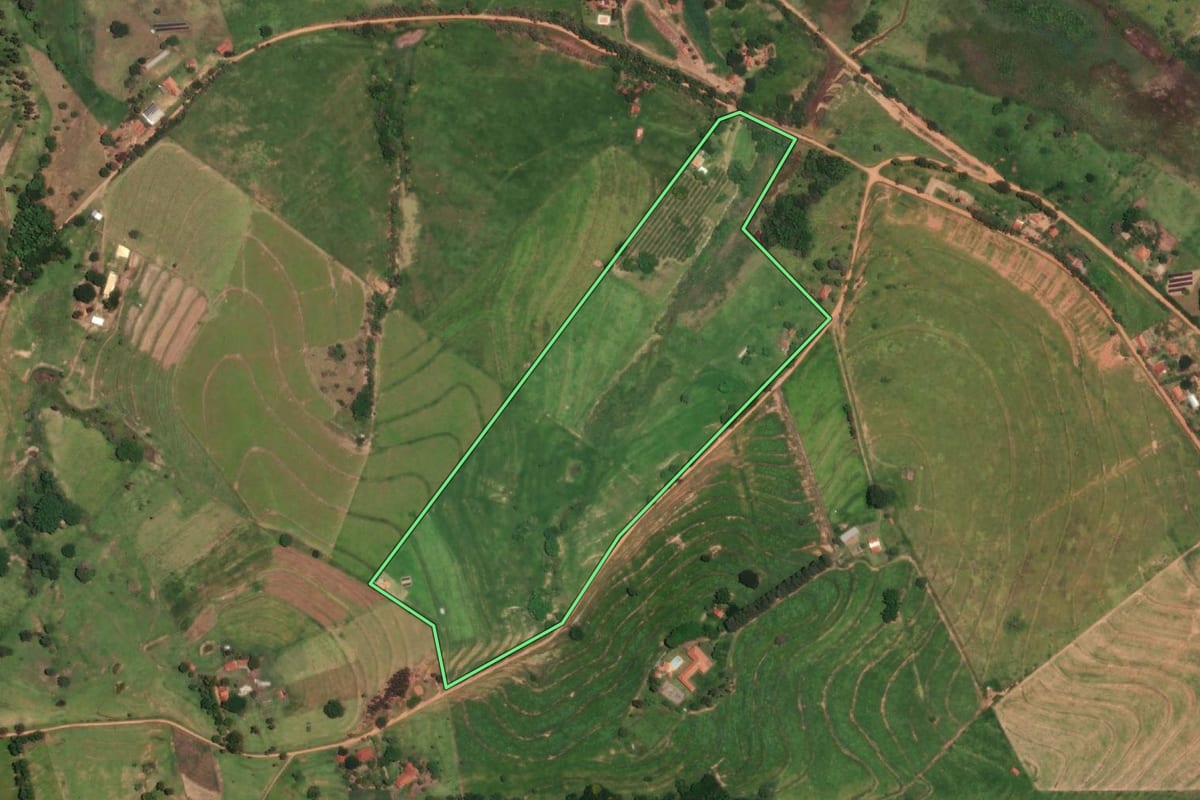 Imagem de satélite do imóvel rural em Duartina (SP), com o contorno declarado no CAR desenhado por cima.