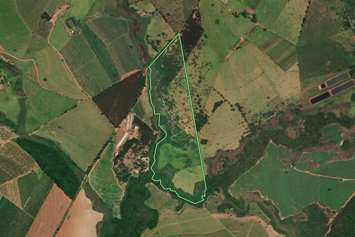 Imagem de satélite do imóvel rural em Duartina (SP), com o contorno declarado no CAR desenhado por cima.