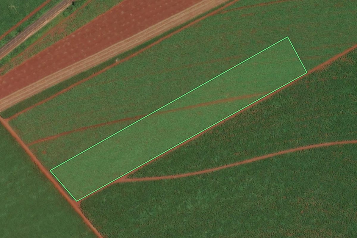 Imagem de satélite do imóvel rural em Dumont (SP), com o contorno declarado no CAR desenhado por cima.