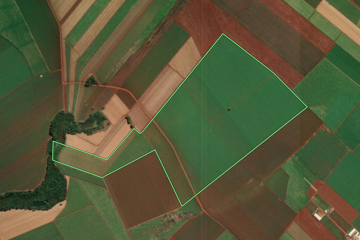Imagem de satélite do imóvel rural em Dumont (SP), com o contorno declarado no CAR desenhado por cima.