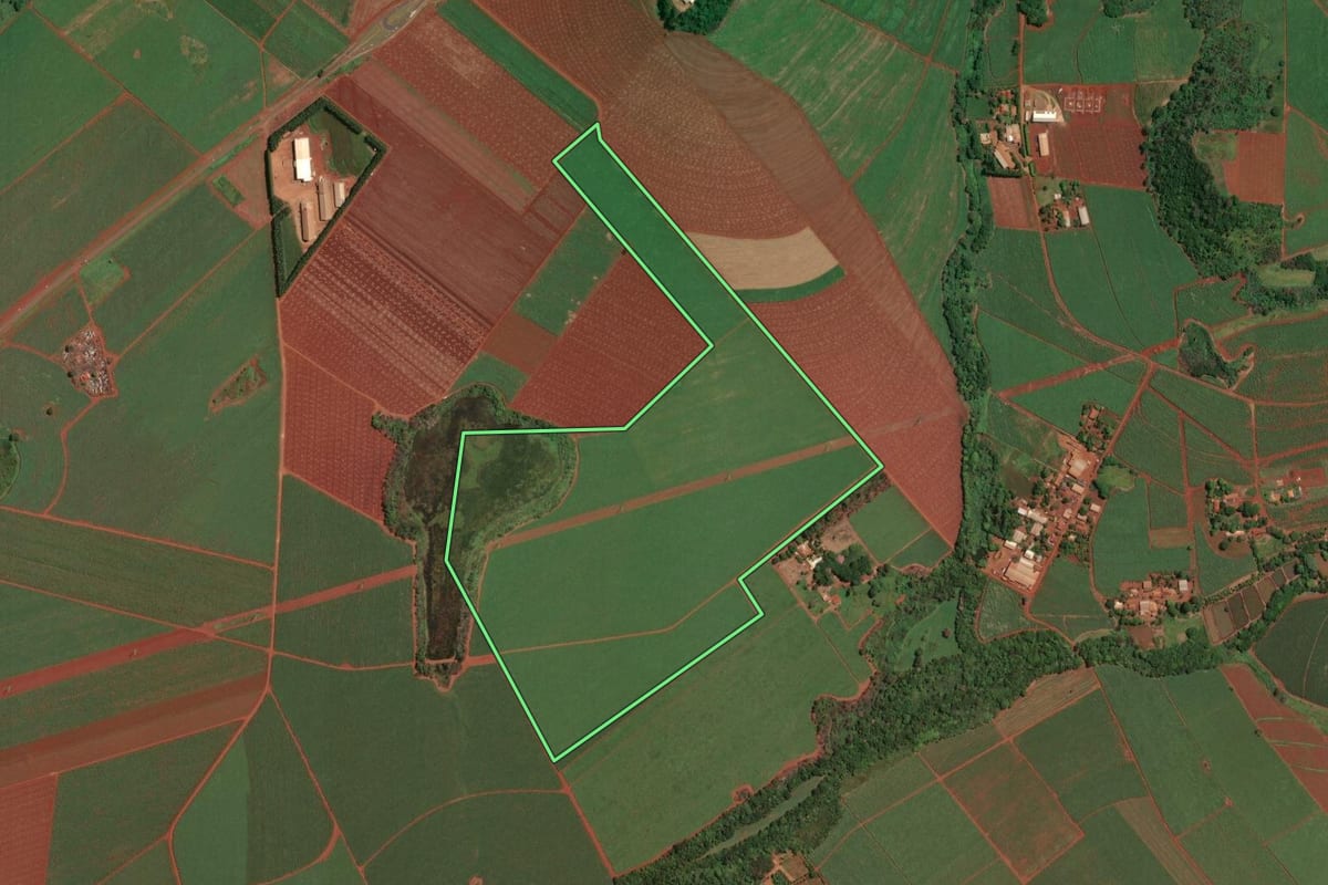 Imagem de satélite do imóvel rural em Dumont (SP), com o contorno declarado no CAR desenhado por cima.