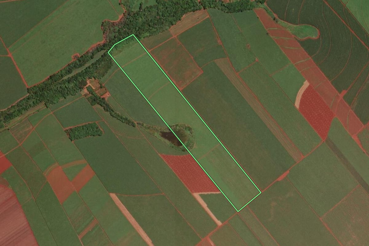 Imagem de satélite do imóvel rural em Dumont (SP), com o contorno declarado no CAR desenhado por cima.