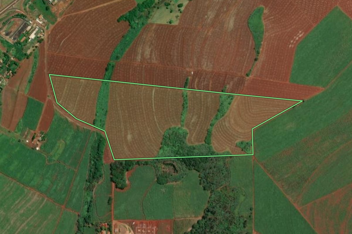 Imagem de satélite do imóvel rural em Dumont (SP), com o contorno declarado no CAR desenhado por cima.