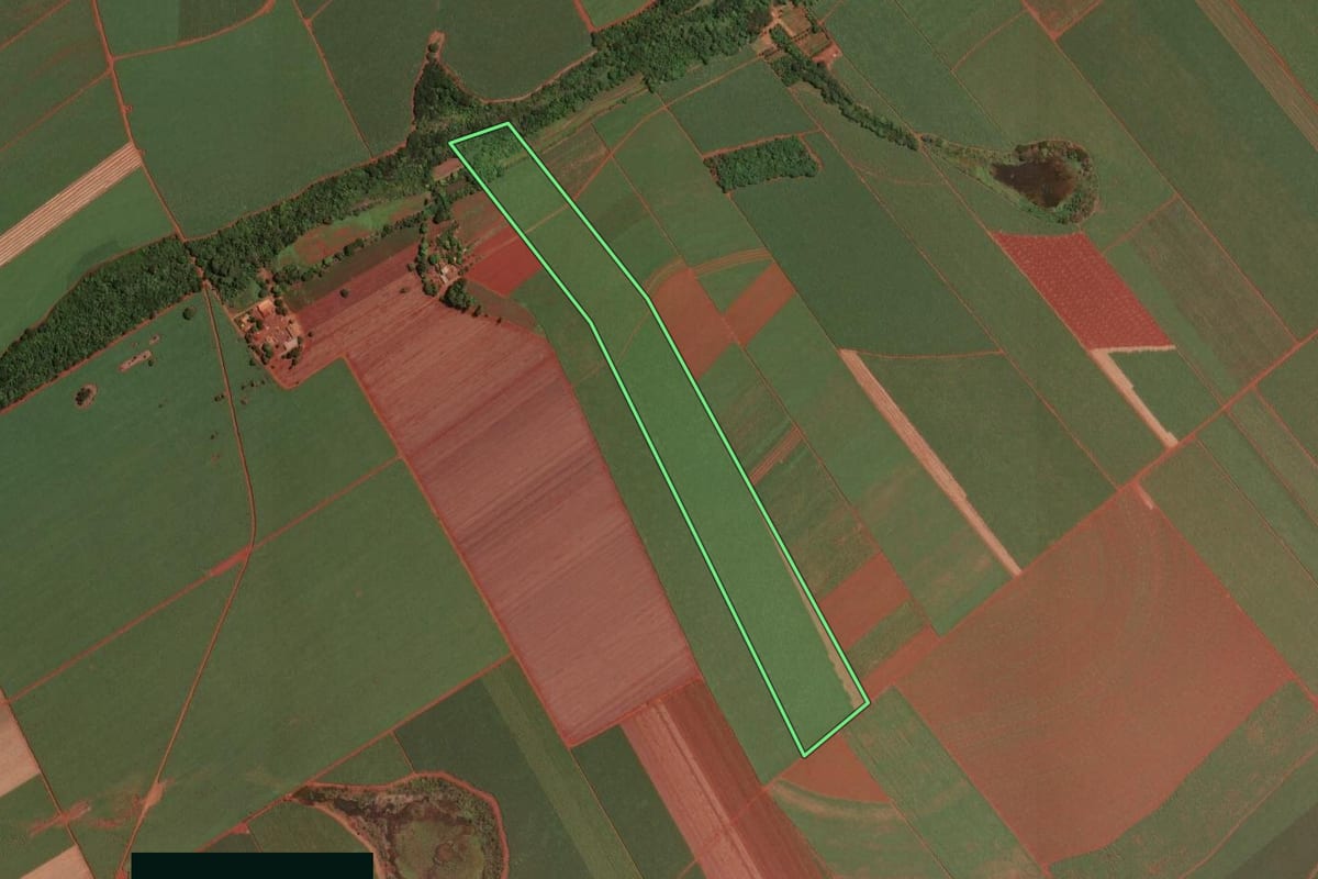 Imagem de satélite do imóvel rural em Dumont (SP), com o contorno declarado no CAR desenhado por cima.