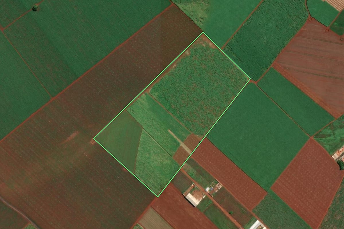 Imagem de satélite do imóvel rural em Dumont (SP), com o contorno declarado no CAR desenhado por cima.
