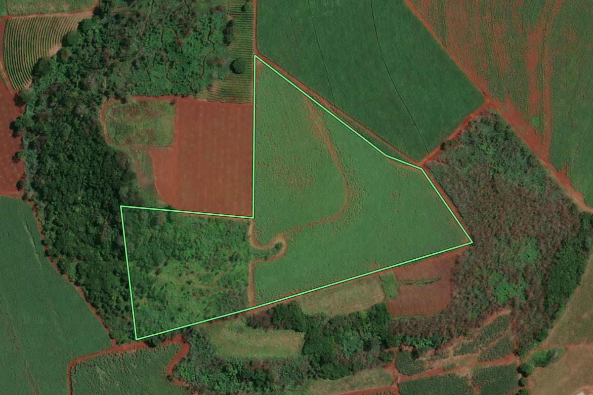Imagem de satélite do imóvel rural em Dumont (SP), com o contorno declarado no CAR desenhado por cima.