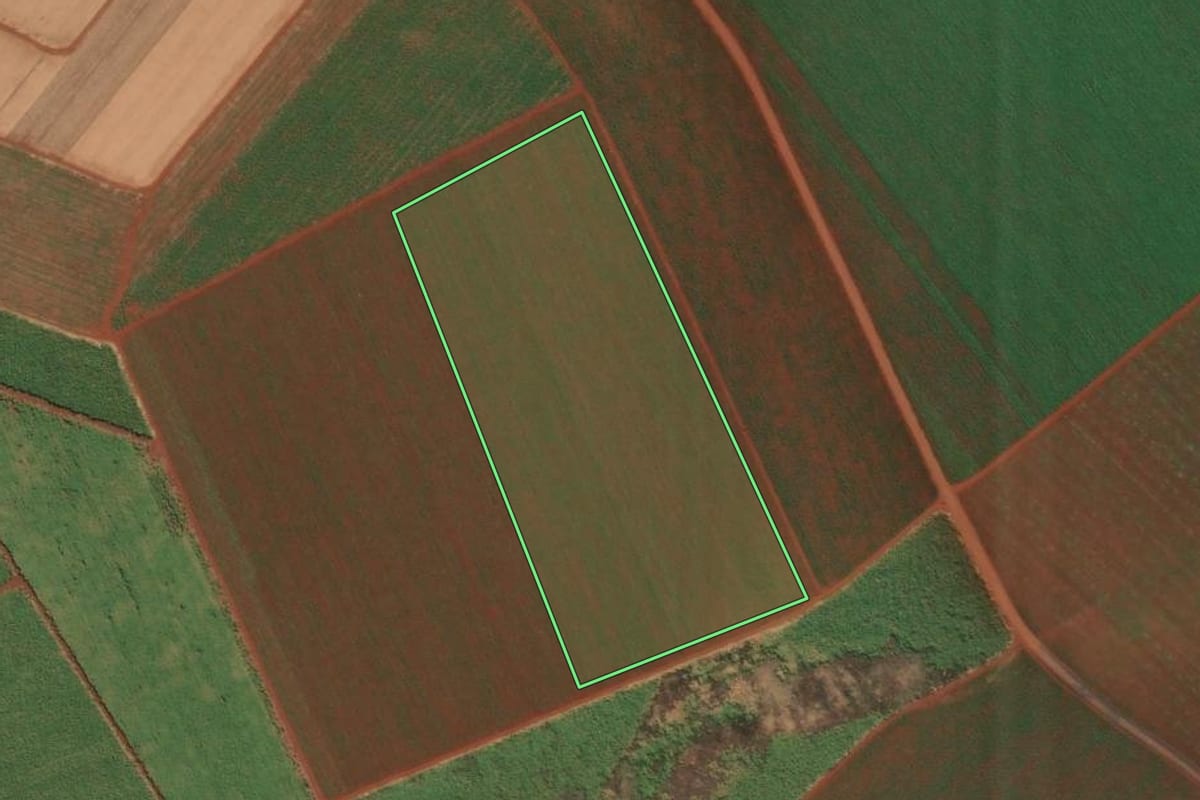 Imagem de satélite do imóvel rural em Dumont (SP), com o contorno declarado no CAR desenhado por cima.