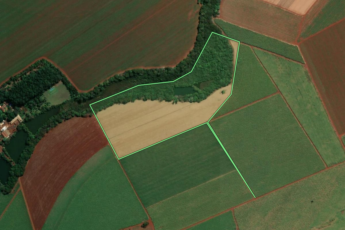 Imagem de satélite do imóvel rural em Dumont (SP), com o contorno declarado no CAR desenhado por cima.