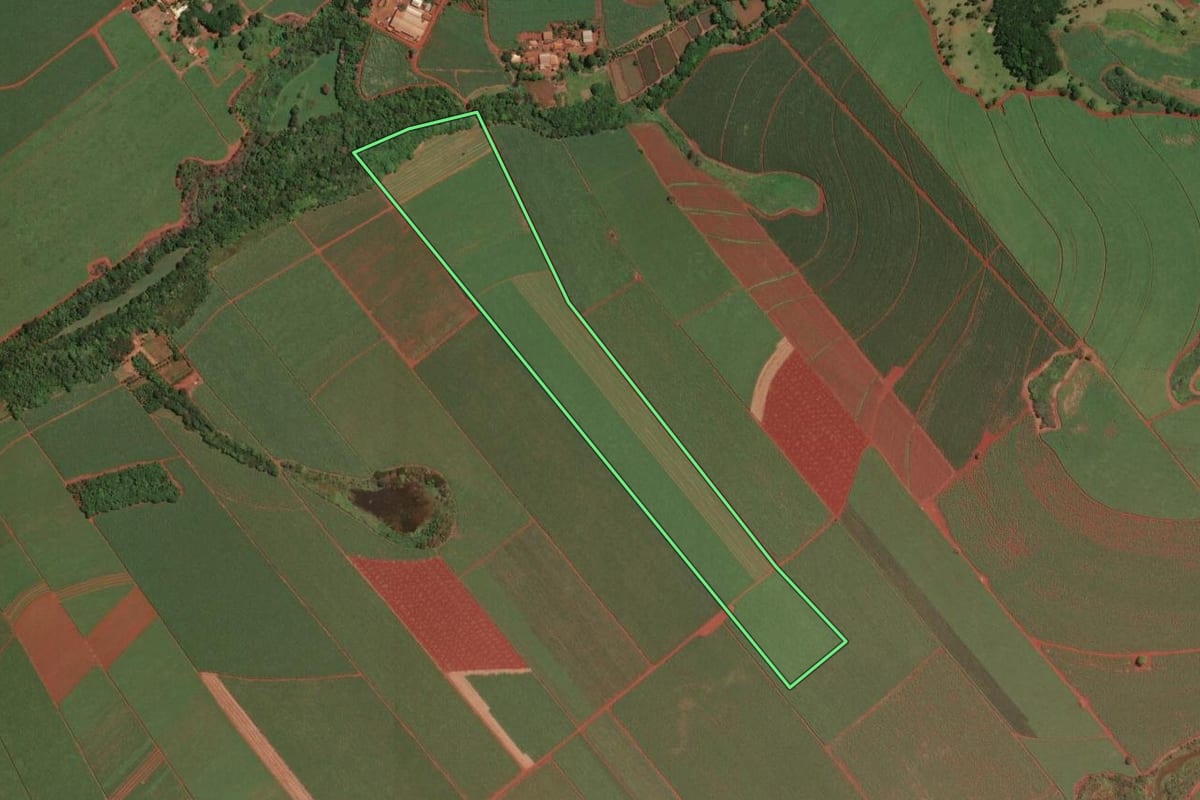 Imagem de satélite do imóvel rural em Dumont (SP), com o contorno declarado no CAR desenhado por cima.