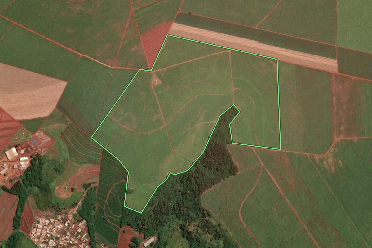 Imagem de satélite do imóvel rural em Dumont (SP), com o contorno declarado no CAR desenhado por cima.