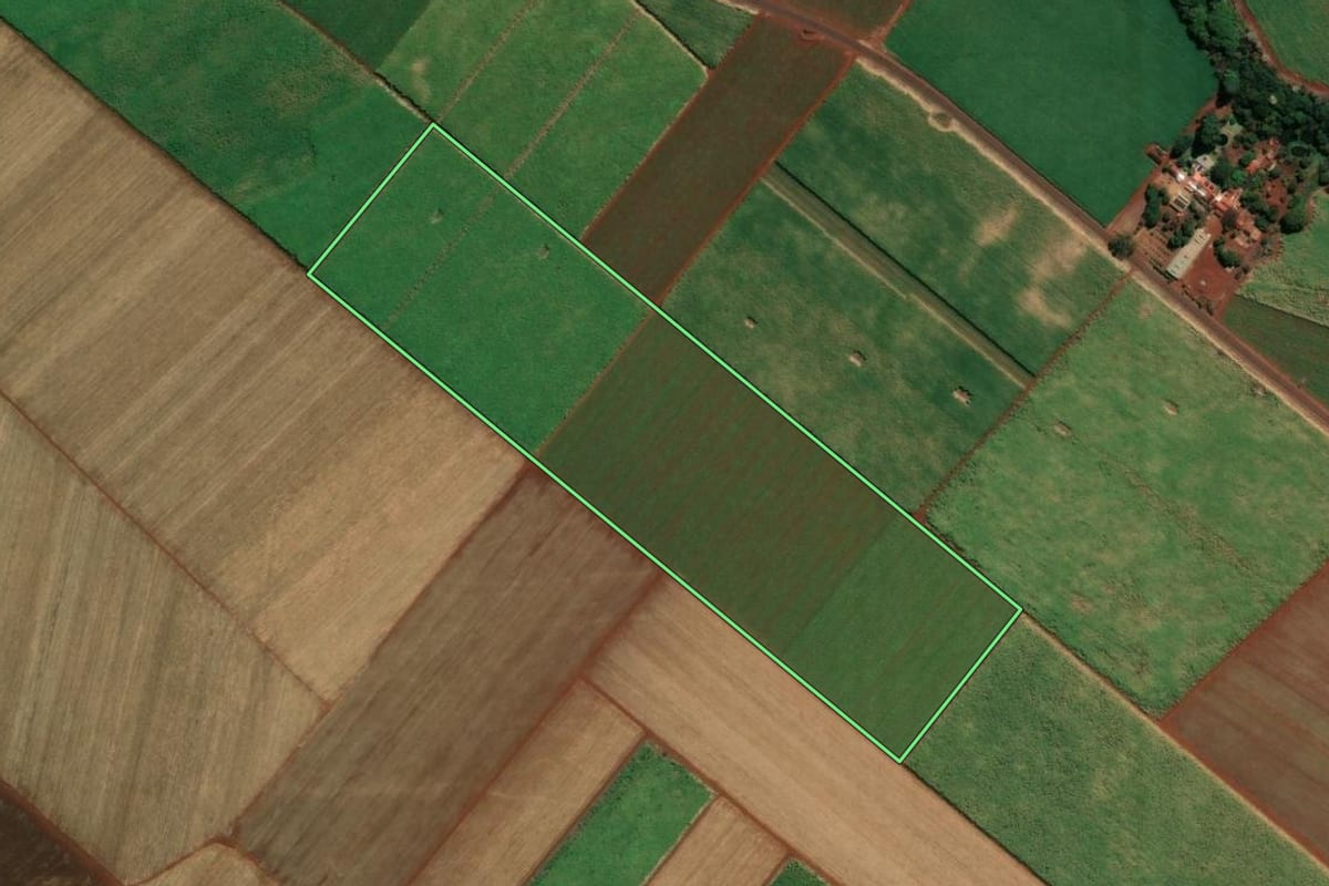 Imagem de satélite do imóvel rural em Dumont (SP), com o contorno declarado no CAR desenhado por cima.
