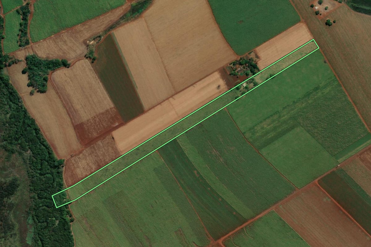 Imagem de satélite do imóvel rural em Dumont (SP), com o contorno declarado no CAR desenhado por cima.