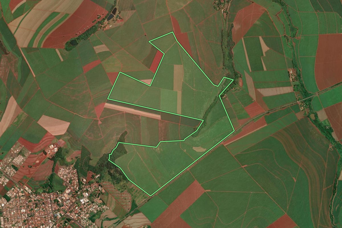 Imagem de satélite do imóvel rural em Dumont (SP), com o contorno declarado no CAR desenhado por cima.
