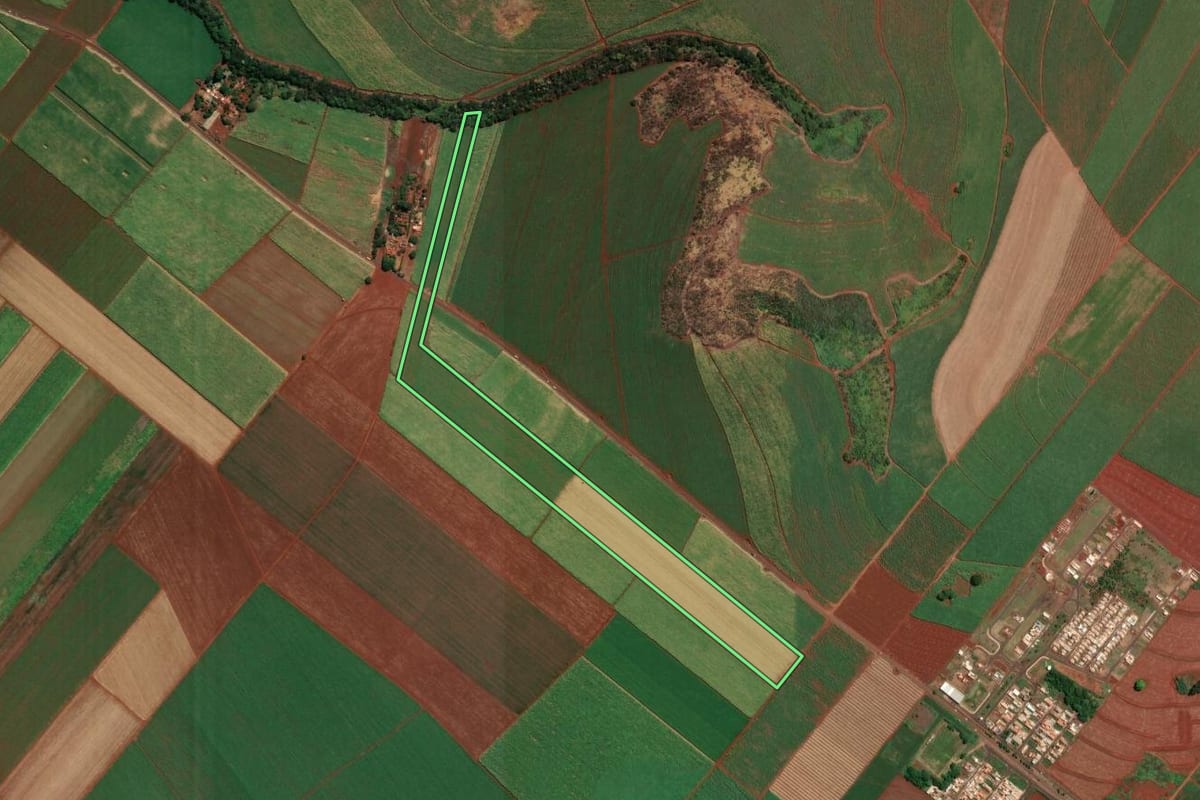 Imagem de satélite do imóvel rural em Dumont (SP), com o contorno declarado no CAR desenhado por cima.