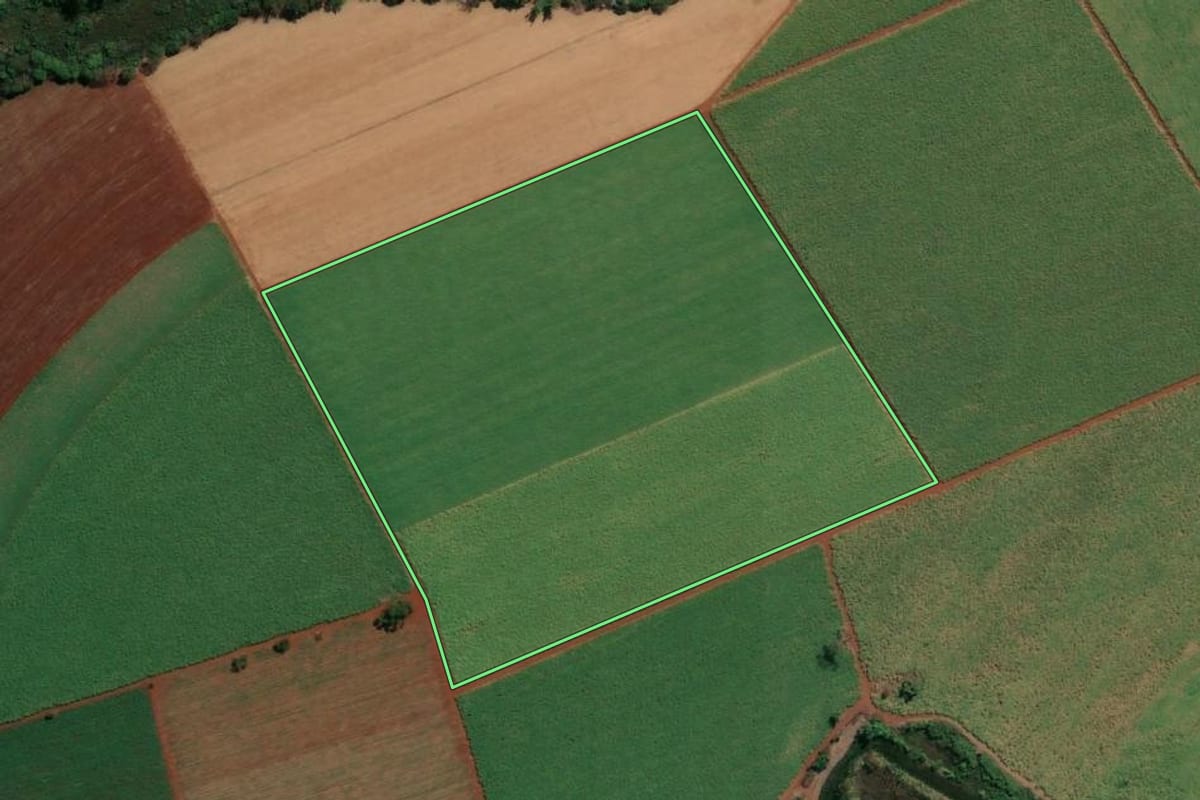 Imagem de satélite do imóvel rural em Dumont (SP), com o contorno declarado no CAR desenhado por cima.