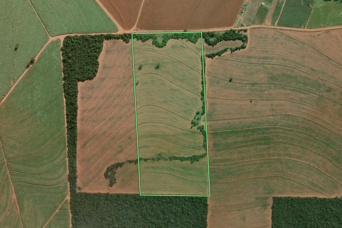 Imagem de satélite do imóvel rural em Echaporã (SP), com o contorno declarado no CAR desenhado por cima.