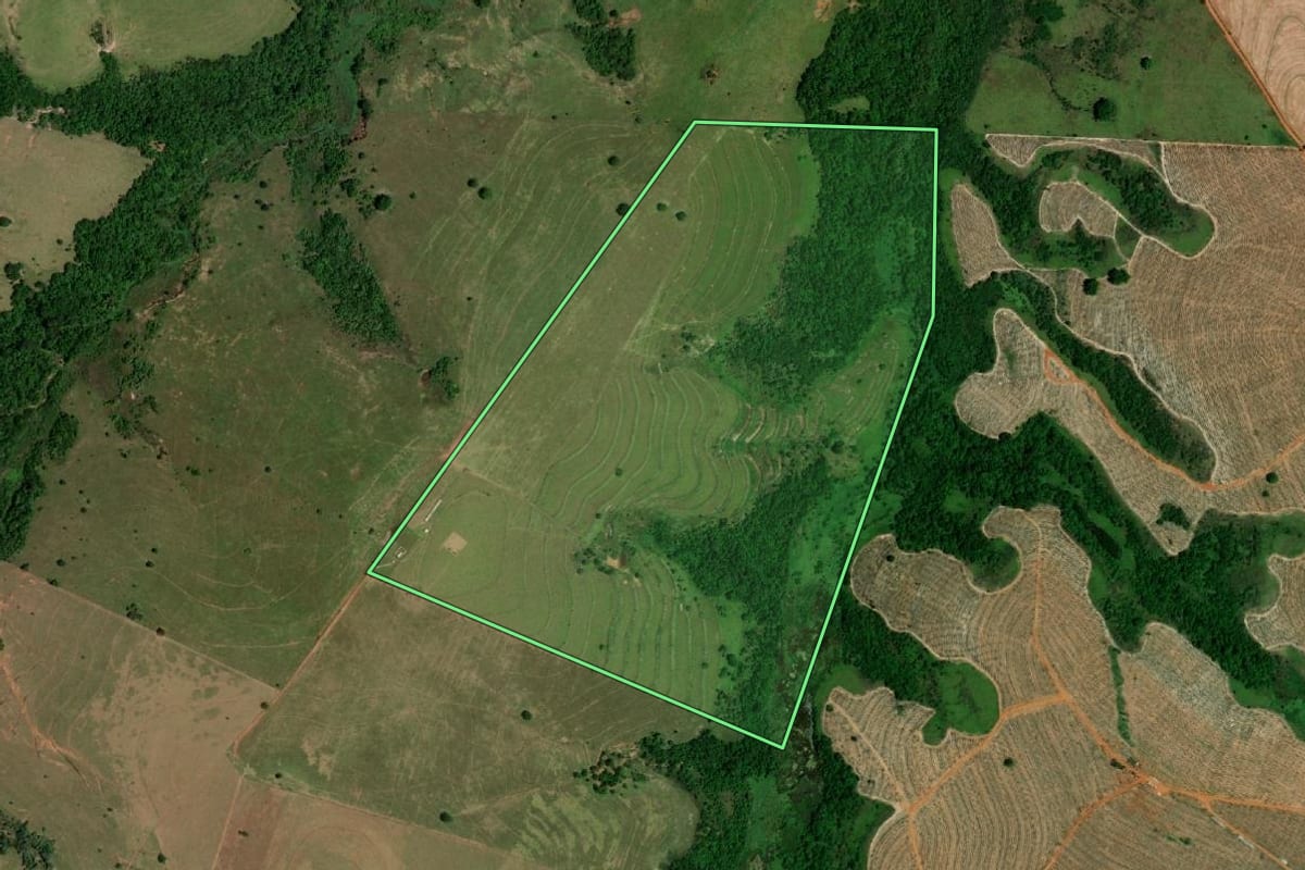Imagem de satélite do imóvel rural em Echaporã (SP), com o contorno declarado no CAR desenhado por cima.