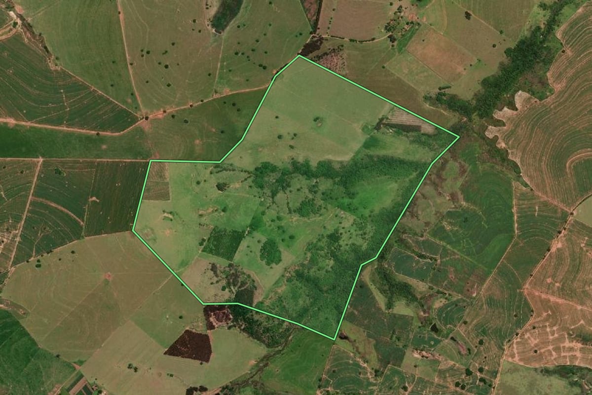 Imagem de satélite do imóvel rural em Echaporã (SP), com o contorno declarado no CAR desenhado por cima.