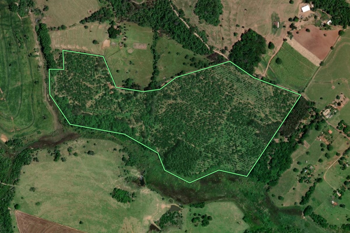 Imagem de satélite do imóvel rural em Echaporã (SP), com o contorno declarado no CAR desenhado por cima.