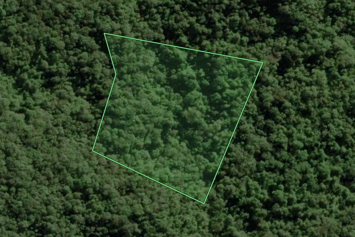 Imagem de satélite do imóvel rural em Eldorado (SP), com o contorno declarado no CAR desenhado por cima.
