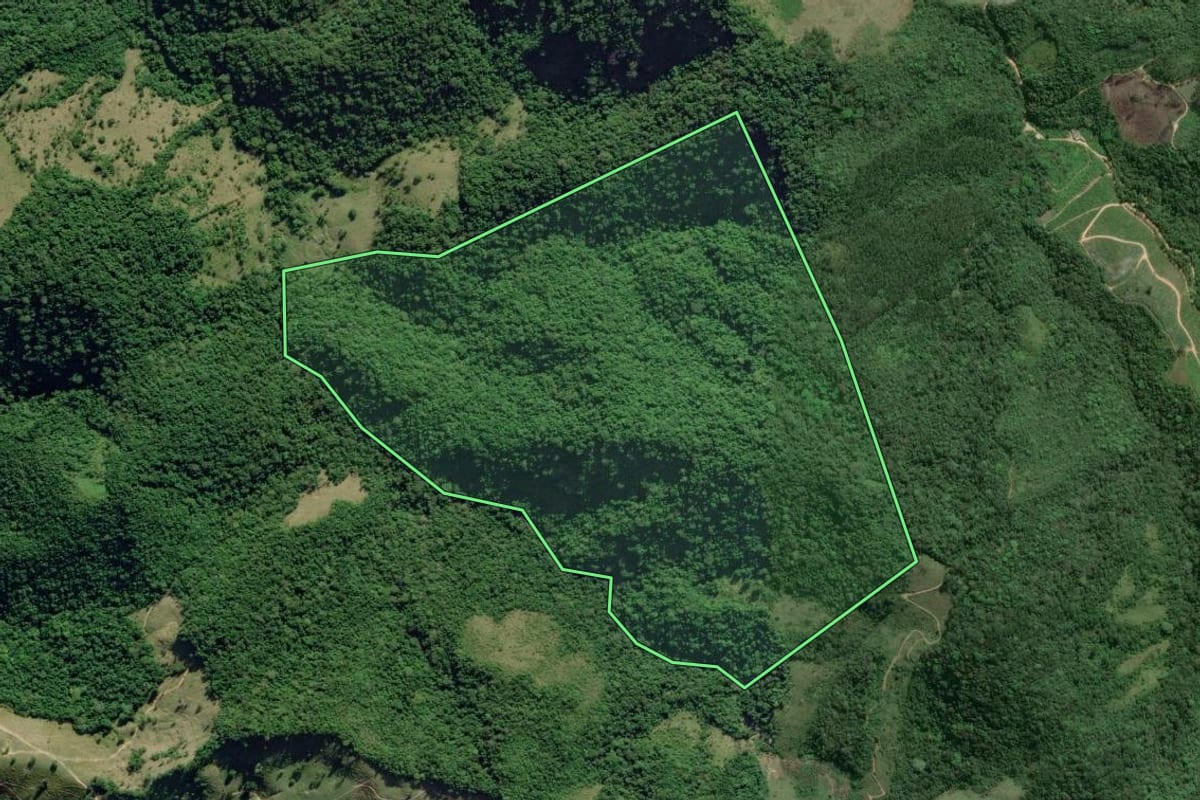Imagem de satélite do imóvel rural em Eldorado (SP), com o contorno declarado no CAR desenhado por cima.