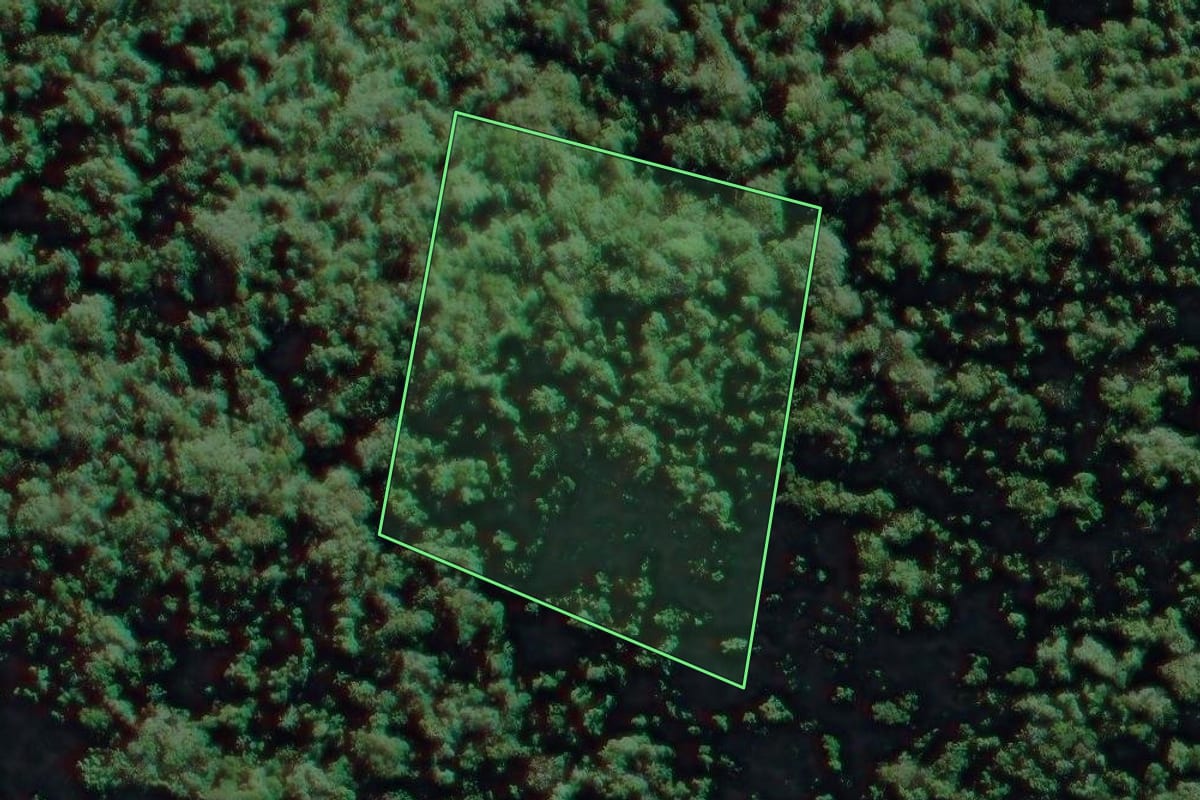 Imagem de satélite do imóvel rural em Eldorado (SP), com o contorno declarado no CAR desenhado por cima.