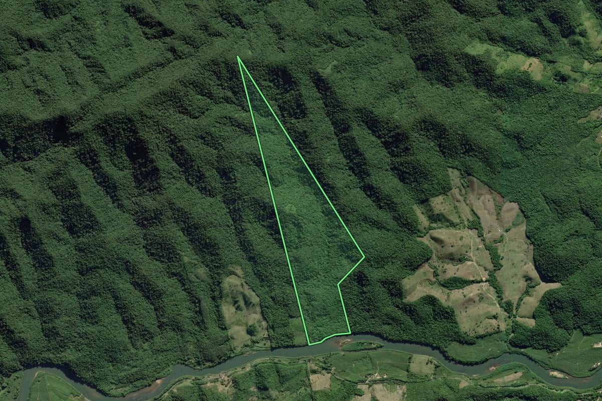 Imagem de satélite do imóvel rural em Eldorado (SP), com o contorno declarado no CAR desenhado por cima.