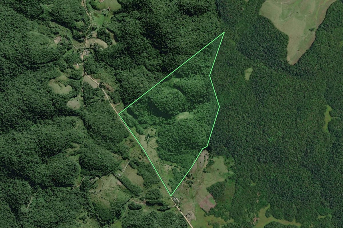 Imagem de satélite do imóvel rural em Eldorado (SP), com o contorno declarado no CAR desenhado por cima.