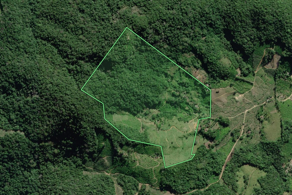 Imagem de satélite do imóvel rural em Eldorado (SP), com o contorno declarado no CAR desenhado por cima.