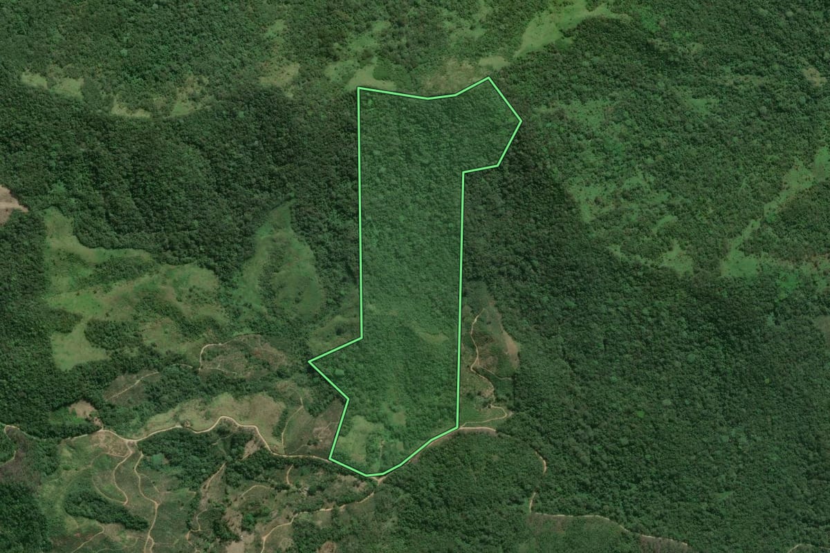 Imagem de satélite do imóvel rural em Eldorado (SP), com o contorno declarado no CAR desenhado por cima.