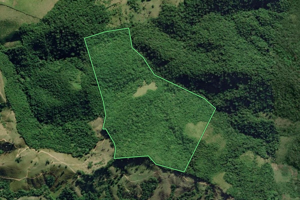 Imagem de satélite do imóvel rural em Eldorado (SP), com o contorno declarado no CAR desenhado por cima.