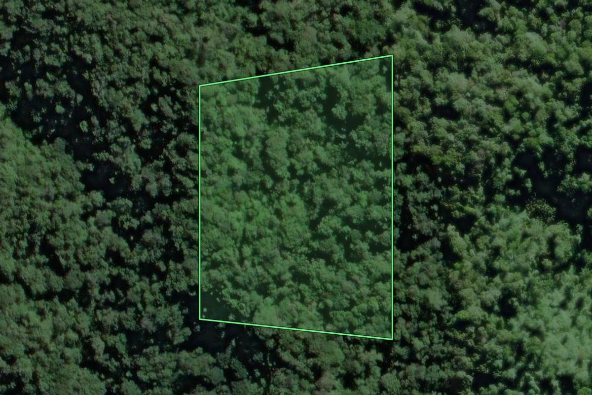 Imagem de satélite do imóvel rural em Eldorado (SP), com o contorno declarado no CAR desenhado por cima.