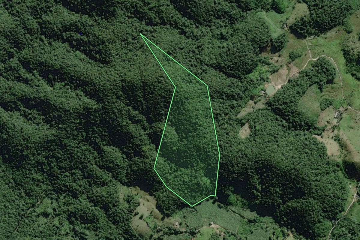 Imagem de satélite do imóvel rural em Eldorado (SP), com o contorno declarado no CAR desenhado por cima.