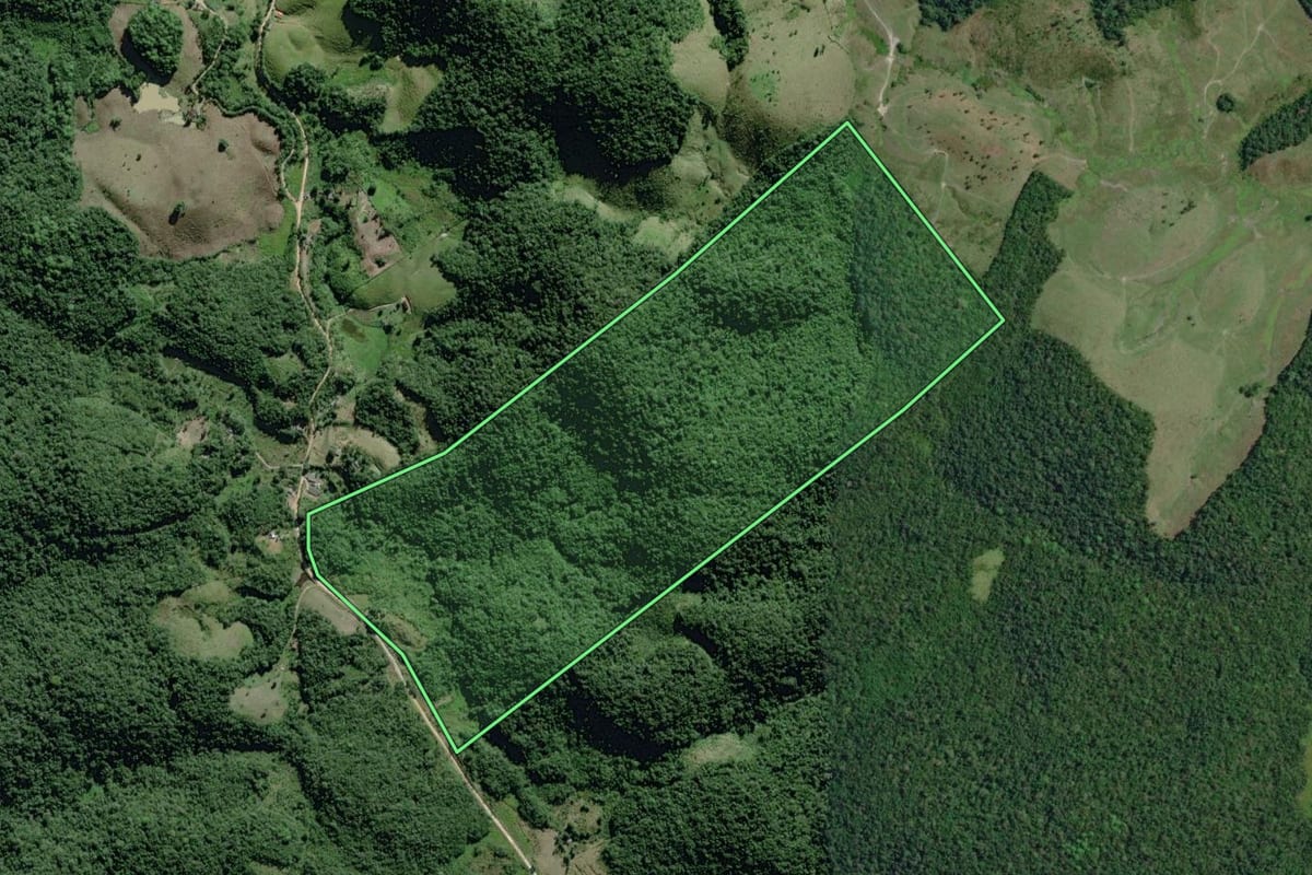 Imagem de satélite do imóvel rural em Eldorado (SP), com o contorno declarado no CAR desenhado por cima.