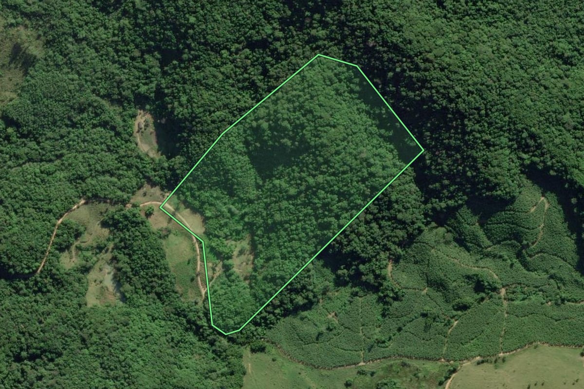 Imagem de satélite do imóvel rural em Eldorado (SP), com o contorno declarado no CAR desenhado por cima.