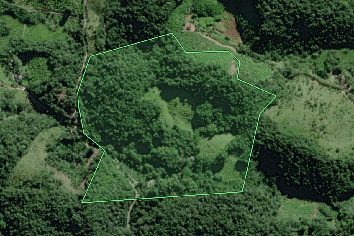 Imagem de satélite do imóvel rural em Eldorado (SP), com o contorno declarado no CAR desenhado por cima.