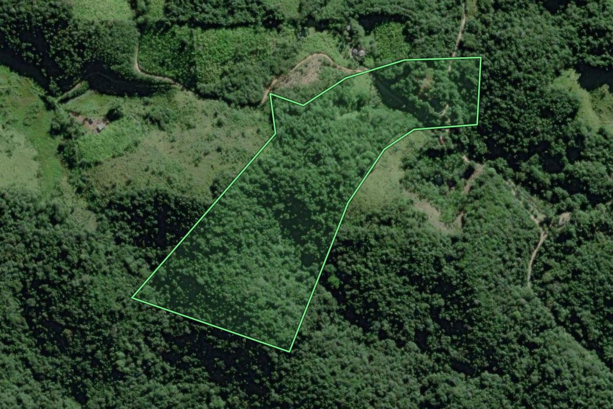 Imagem de satélite do imóvel rural em Eldorado (SP), com o contorno declarado no CAR desenhado por cima.