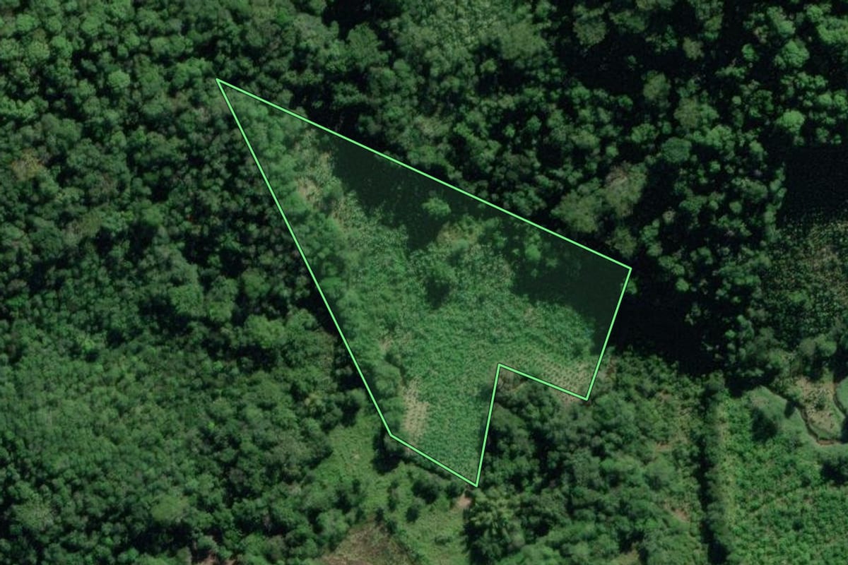 Imagem de satélite do imóvel rural em Eldorado (SP), com o contorno declarado no CAR desenhado por cima.