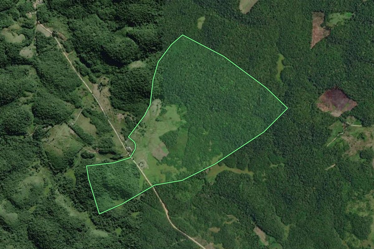 Imagem de satélite do imóvel rural em Eldorado (SP), com o contorno declarado no CAR desenhado por cima.