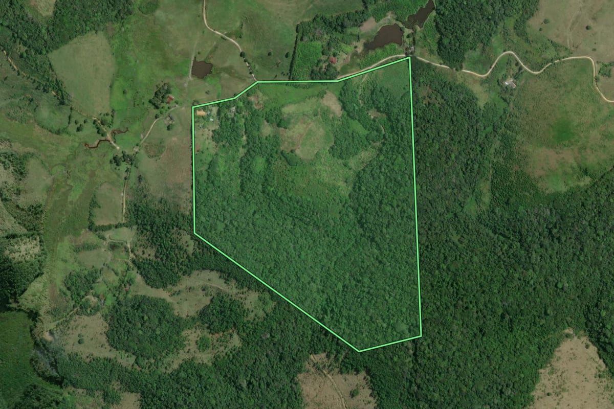 Imagem de satélite do imóvel rural em Eldorado (SP), com o contorno declarado no CAR desenhado por cima.
