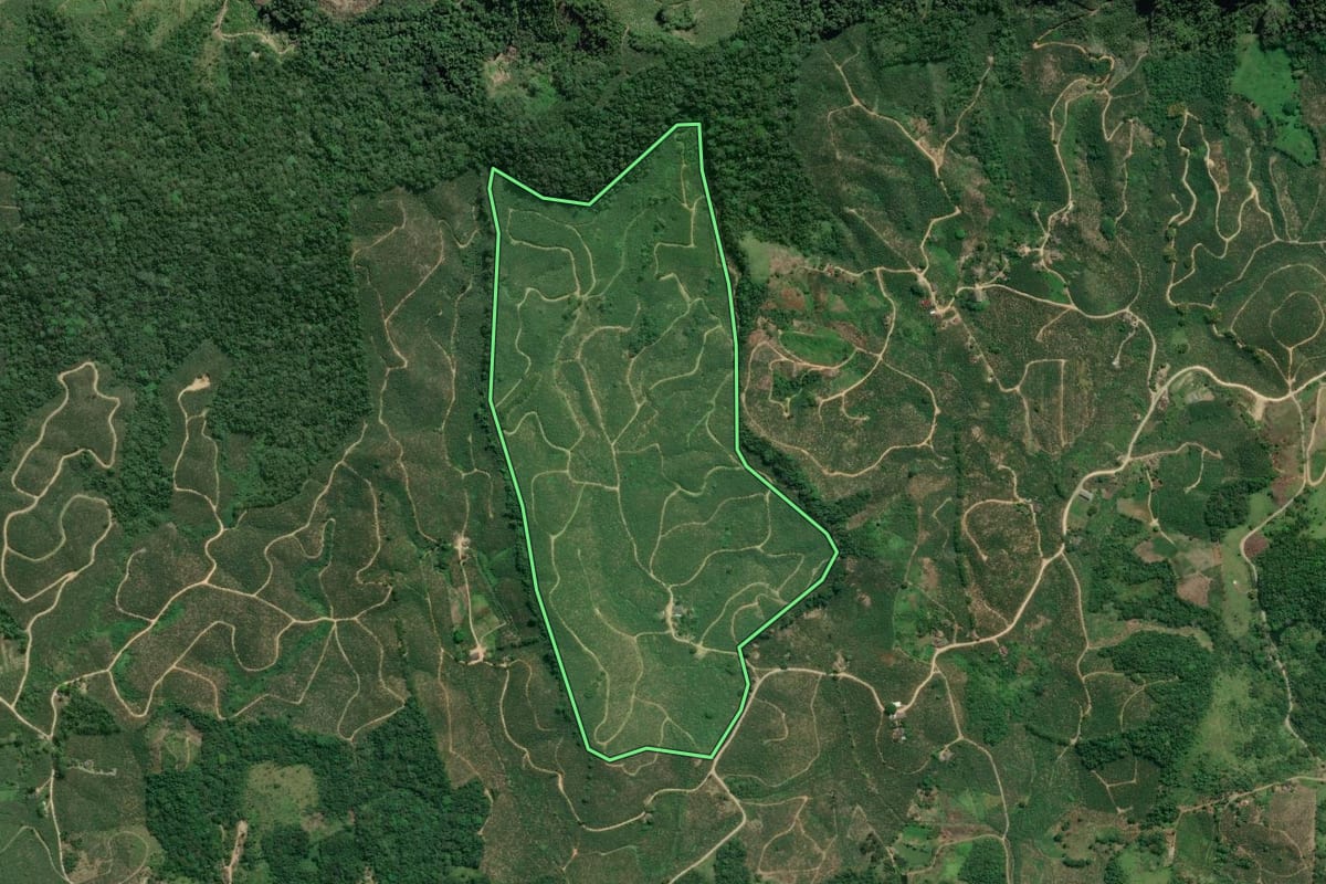 Imagem de satélite do imóvel rural em Eldorado (SP), com o contorno declarado no CAR desenhado por cima.