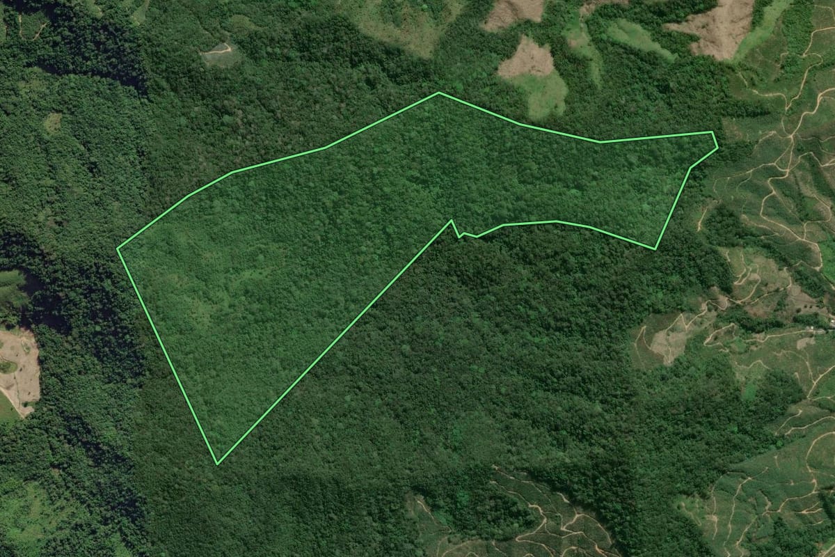 Imagem de satélite do imóvel rural em Eldorado (SP), com o contorno declarado no CAR desenhado por cima.