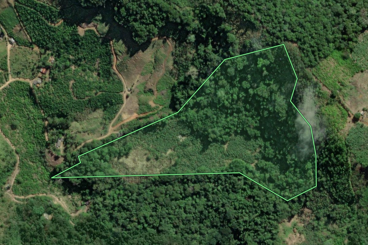 Imagem de satélite do imóvel rural em Eldorado (SP), com o contorno declarado no CAR desenhado por cima.