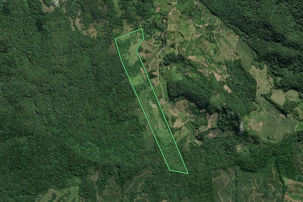 Imagem de satélite do imóvel rural em Eldorado (SP), com o contorno declarado no CAR desenhado por cima.