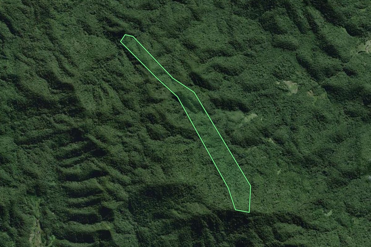 Imagem de satélite do imóvel rural em Eldorado (SP), com o contorno declarado no CAR desenhado por cima.