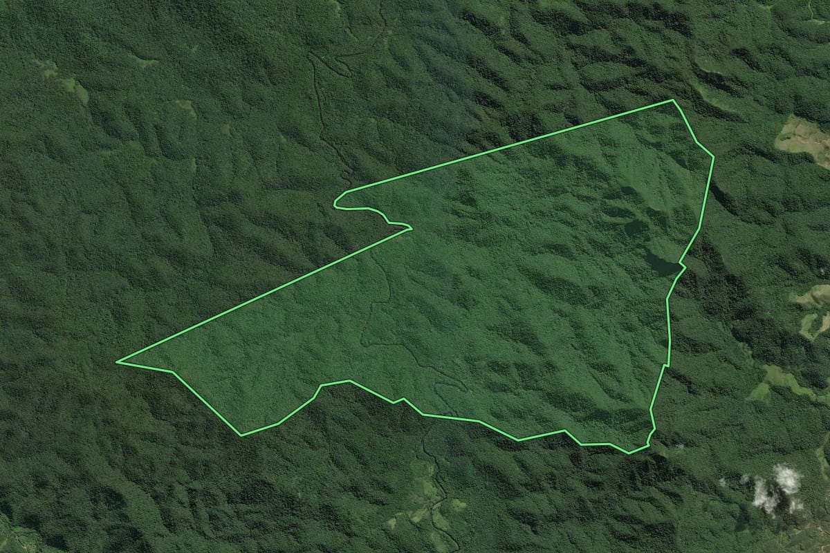 Imagem de satélite do imóvel rural em Eldorado (SP), com o contorno declarado no CAR desenhado por cima.