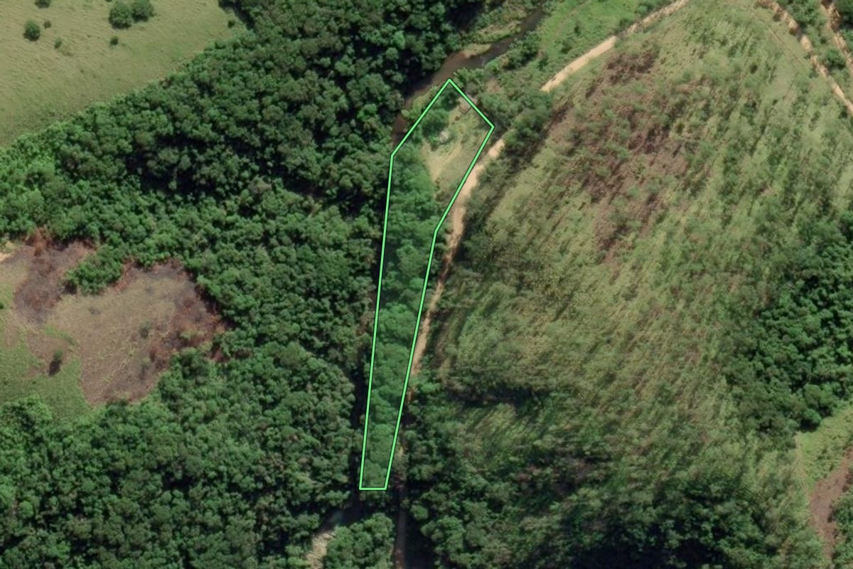 Imagem de satélite do imóvel rural em Eldorado (SP), com o contorno declarado no CAR desenhado por cima.