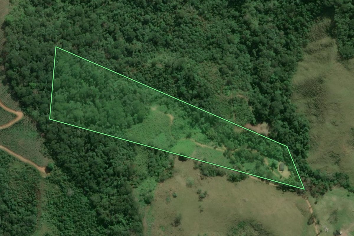 Imagem de satélite do imóvel rural em Eldorado (SP), com o contorno declarado no CAR desenhado por cima.