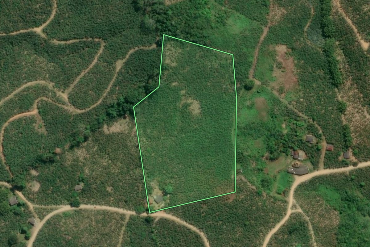 Imagem de satélite do imóvel rural em Eldorado (SP), com o contorno declarado no CAR desenhado por cima.